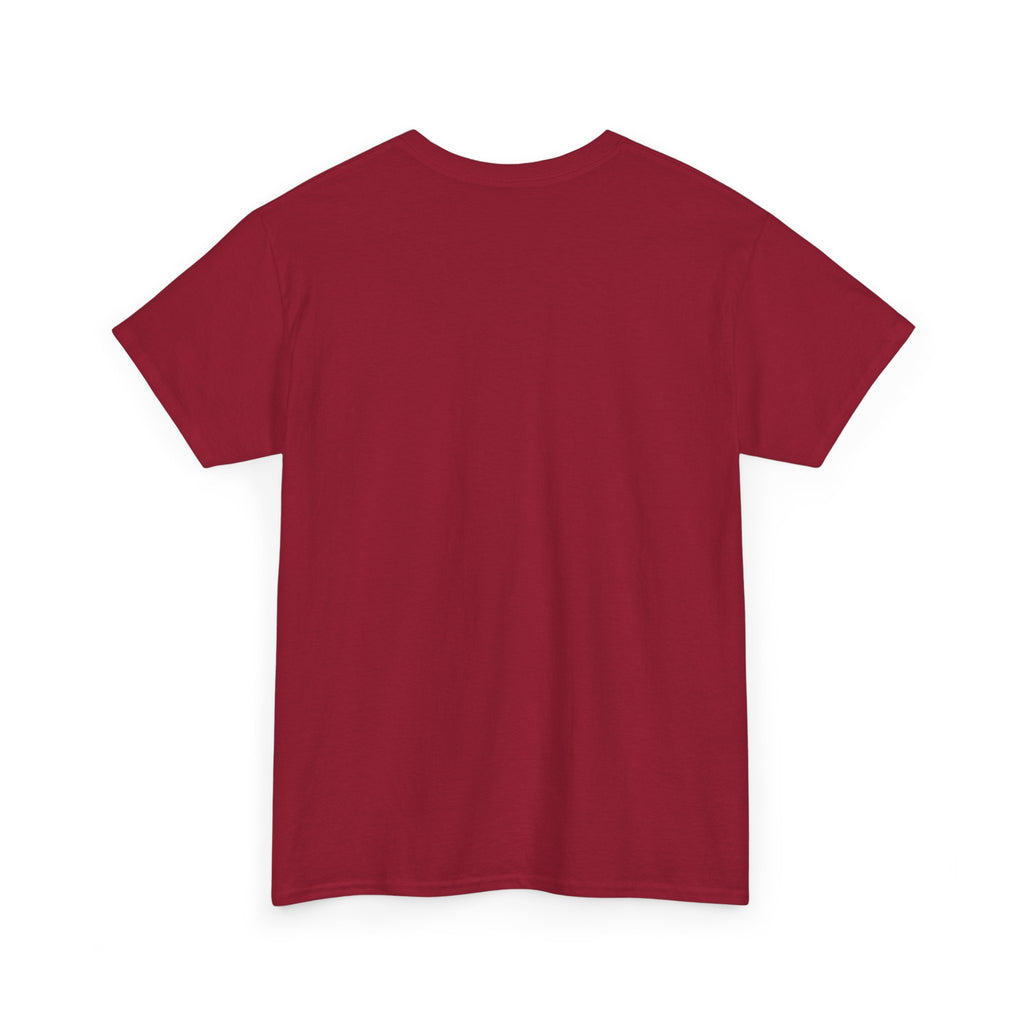 Paraguay 2026 FIFA World Cup T-Shirt | La Albirroja Fan Gift | Paraguay Football Tee | Unisex Graphic Tee